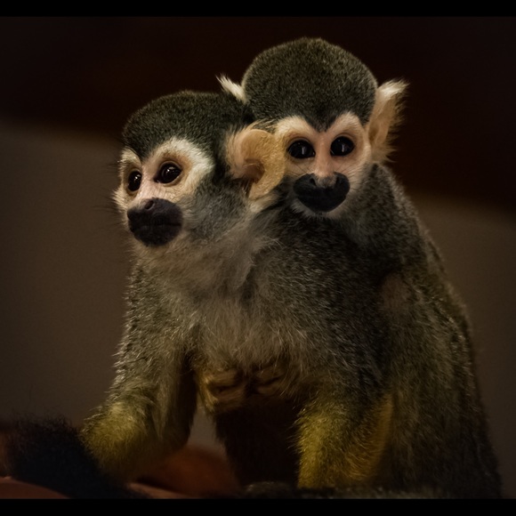 🌸🌼🌸🌼 Share for Share 🌸🌼🌸🌼 - Picture 4 of 7